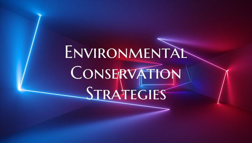 Environmental Conservation Strategies